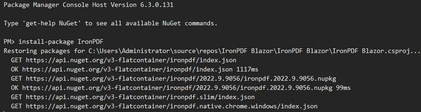 Package Manager Console Host Version -